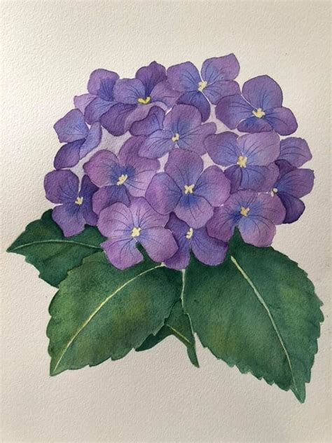 Pin By Joyce Durick On Art Watercolor Flower Art Flower Art Painting