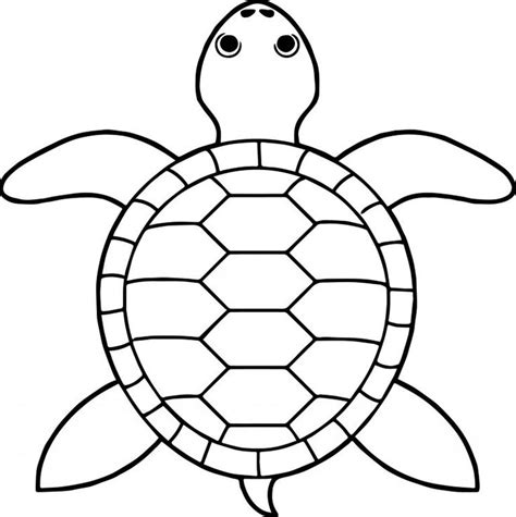 Tortoise Turtle Top View Coloring Pages Wecoloringpage Molde De