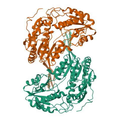 Rcsb Pdb Yen Aldehyde Dehydrogenase