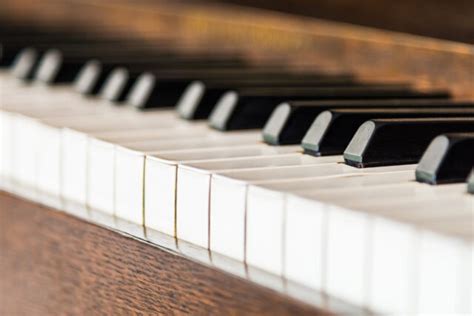 How To Label Piano Keys A Guide For Beginners