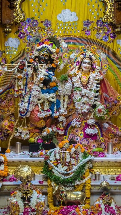 Pin By Namratha Reddy On Krishna Radha Krishna Photo Lord Krishna