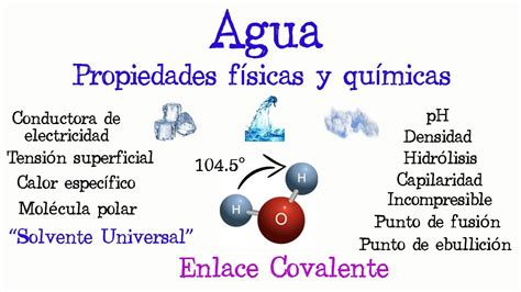 Descubre La Naturaleza De Los Componentes Del Agua Propiedades Y