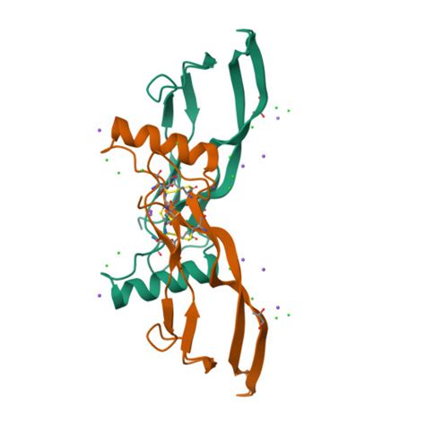 Rcsb Pdb Dpq Bmp Wild Type Dimer Without Radiation Damage In