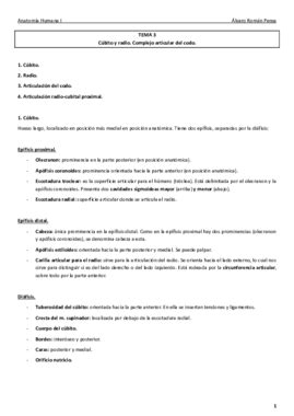 Anatomia Humana I Tema Pdf