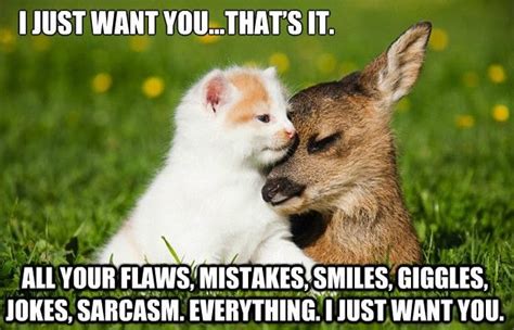 25 Cute and Funny Memes to Make You Feel Better