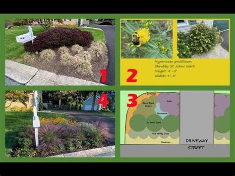 Native Plant Landscape Design Full Example Including Plant Detail