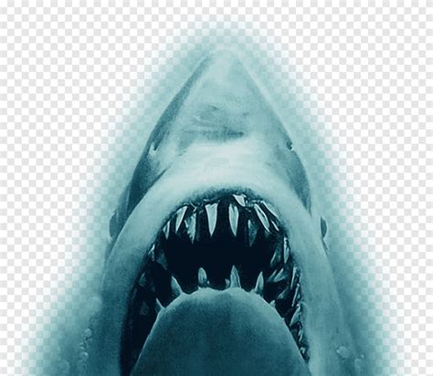 Téléchargement Gratuit Film de remorque YouTube Shark Jaws requin