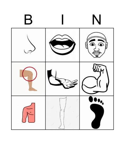 Parts Of The Body Bingo Card