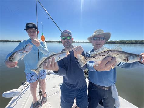 Shark And Tarpon Fishing In Naples Marco Island And Rookery Bay A