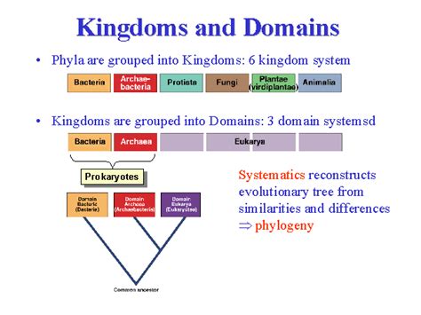 Model A Diagram Of The Relationship Between Domains And King