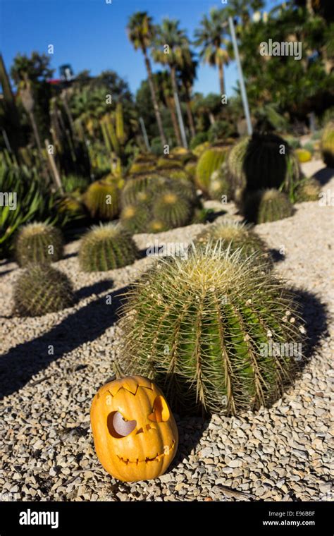 Halloween Scary Pumpkin Jack O Lantern With A Smile On Front The