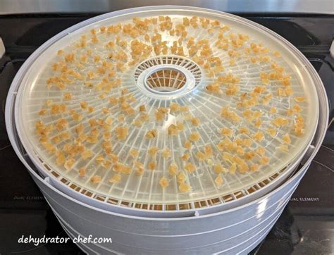 How To Dehydrate Potatoes Dehydrating Potatoes A Step By Step Guide Dehydrator Chef