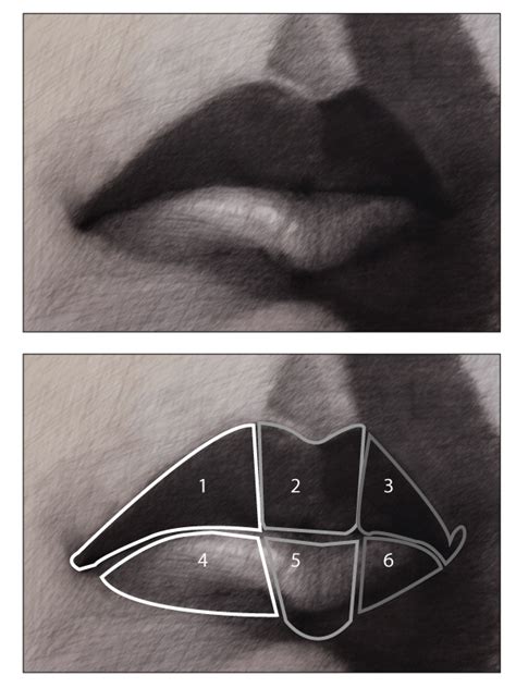 images  drawing lips  pinterest caravaggio tutorials