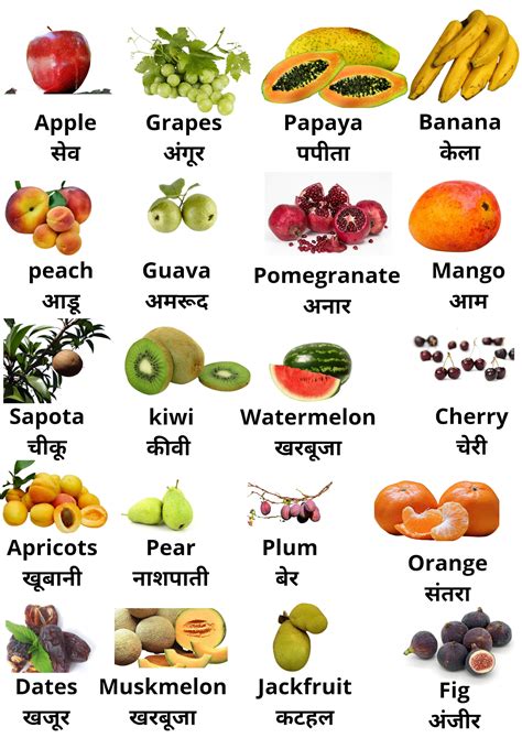 Fruits Name In Hindi English