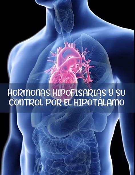 Hormonas Hipofisarias Y Su Control Por El Hipot Lamo Cap Guyton