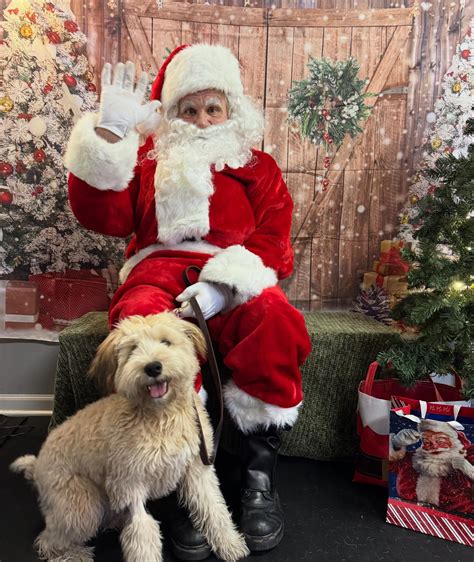 Mandy's Dog Training LLC | Park Ridge IL