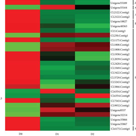 Heatmap Representing Relative Expression Levels Of Differentially