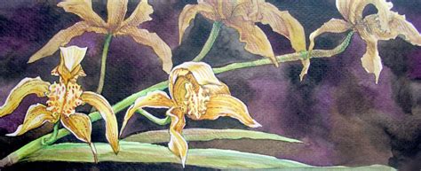 Yellow Orchid Painting Stock Illustration - Download Image Now ...