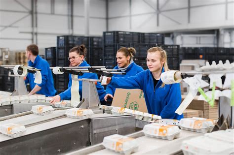 werken workstead werken  nederland vind jouw baan  nederland