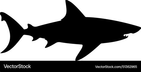 Shark silhouette white background Royalty Free Vector Image