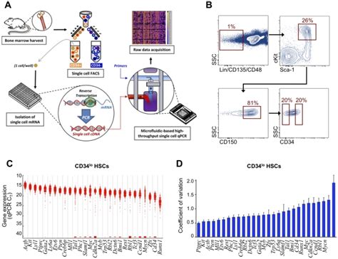 A Schematic Of High Throughput Microfluidic Chip Based Single Cell