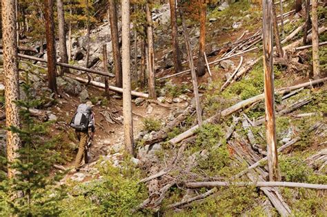 Lava Lake Trail Outside Bozeman