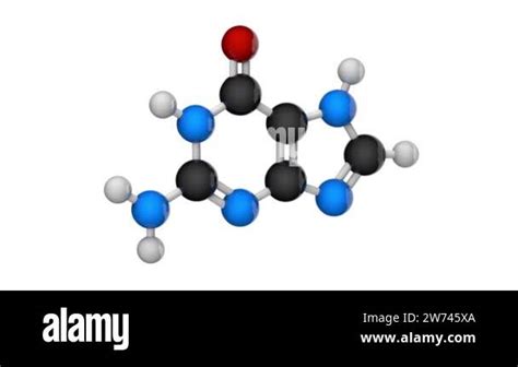 Chemical Structural Formula And Model Of Guanine Nitrogenous Base Molecular Structure Dna And