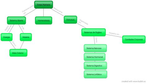 E Portef Lio Da Marianap Estrutura Do Corpo Humano Mapa Mental