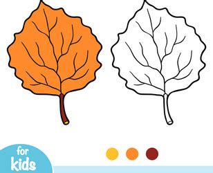 Aspen Leaf Vector Images (over 3,300)