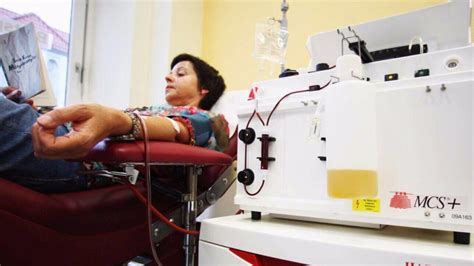 Talassemia Stop A Trasfusioni Grazie A Terapia Genica