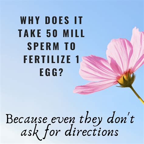 Zoi Fertility Ivf Jokes Zoi Fertility