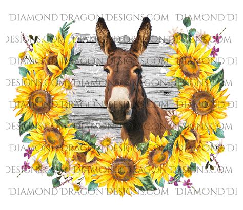 Donkey And Sunflowers Image Rustic Western Donkey Sunflower Country