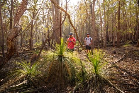 Theres More To The Snowys Than The Slopes Blog Nsw National Parks