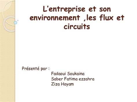 Ppt Lentreprise Et Son Environnement