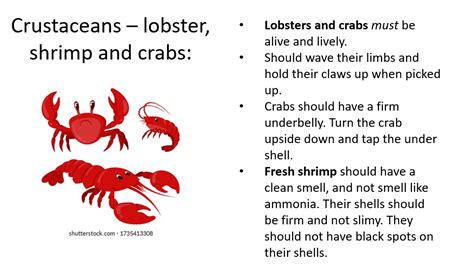 How to Pick the Best Seafood - ChefColleen.ca