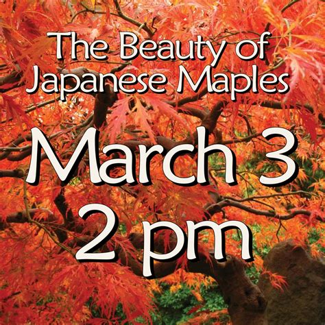 How to find the specific Anniston Star obituaries recent archives 30