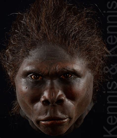 Kennis And Kennis Reconstructions Human Fossils Ancient Humans Human