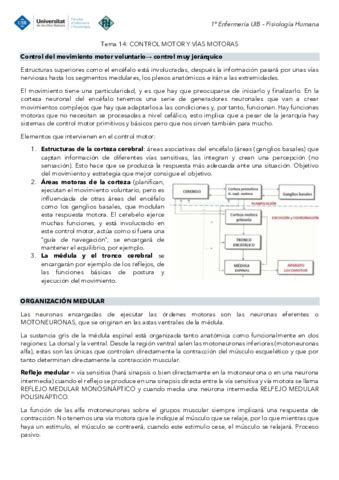 Tema 14 Fisiologia Vias Motoras Pdf