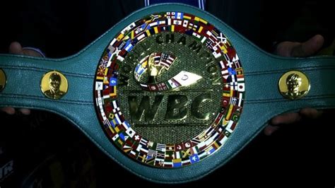 WBC Title in Play for WBSS Cruiserweight Final! - 3KINGSBOXING.COM