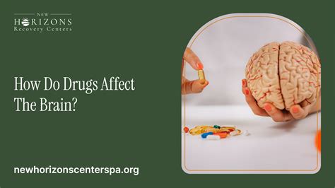 How Do Drugs Affect The Brain