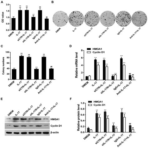 Il Induces Nsclc A Cell Proliferation Via The Upregulation Of