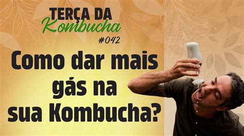 Como Fazer A Kombucha Ter Mais G S O Contador De Cervejas