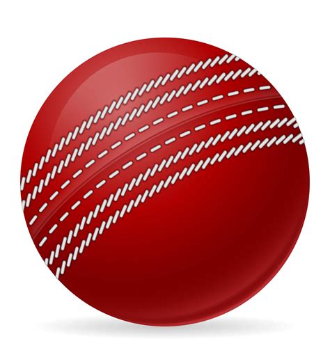 cricket ball   sports game  vector art  vecteezy