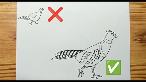 How To Draw A PHEASANT Easy YouTube