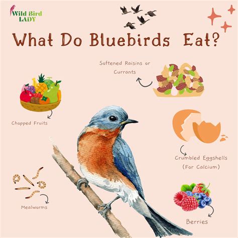 What Do Egrets Eat? A Deep Dive into the Diet of These Elegant Waders