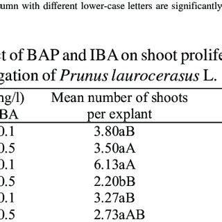 Effect Of BAP On Shoot Proliferation And Elongation In The