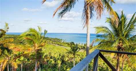 Mirante Japaratinga - Praias Paradisíacas - Japaratinga