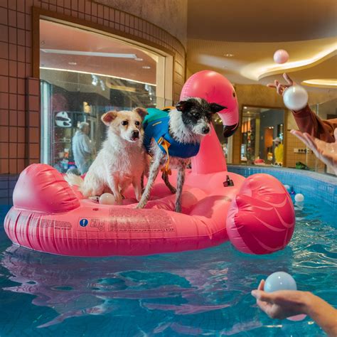 Líníocht Líne Martin Luther King Jr