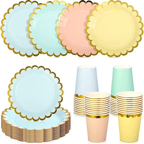 CHENGU Disposable Plates for Party Disposable Dinnerware Set Include 7 ...