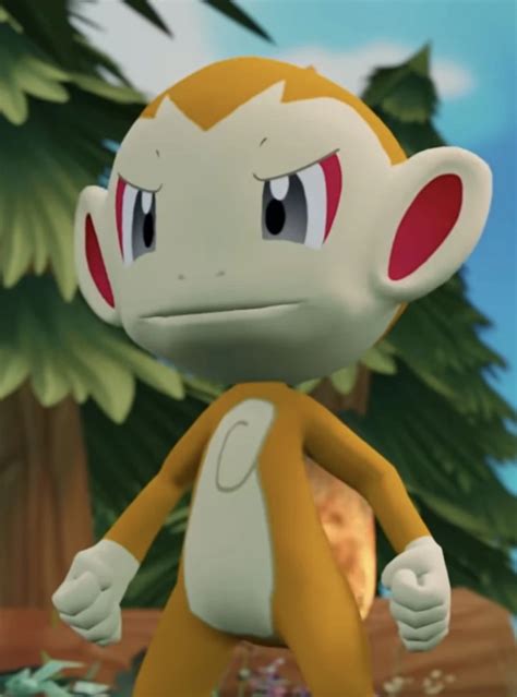 Chimchar Starter Squad Loathsome Characters Wiki